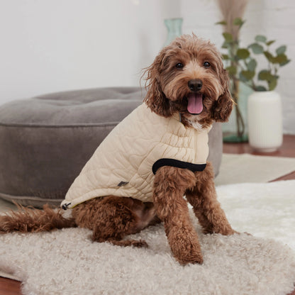 Veste réversible pour chien GF Pet