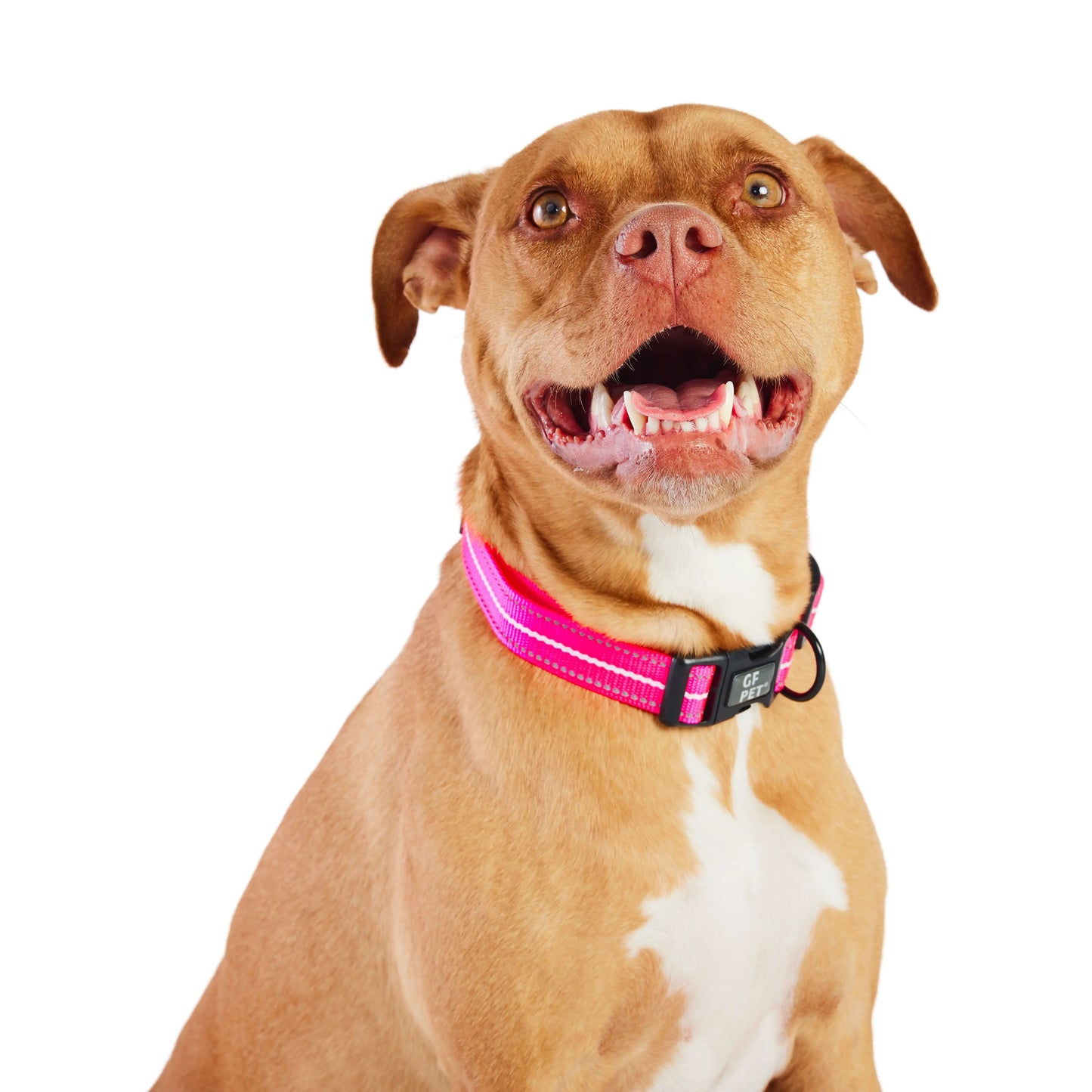 Collier réfléchissant - Rose fluo GF Pet