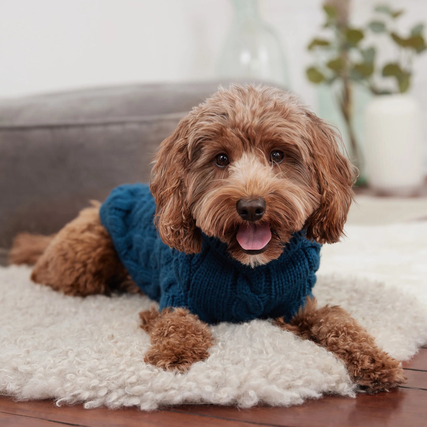 Chalet Sweater - Dark Teal GF Pet