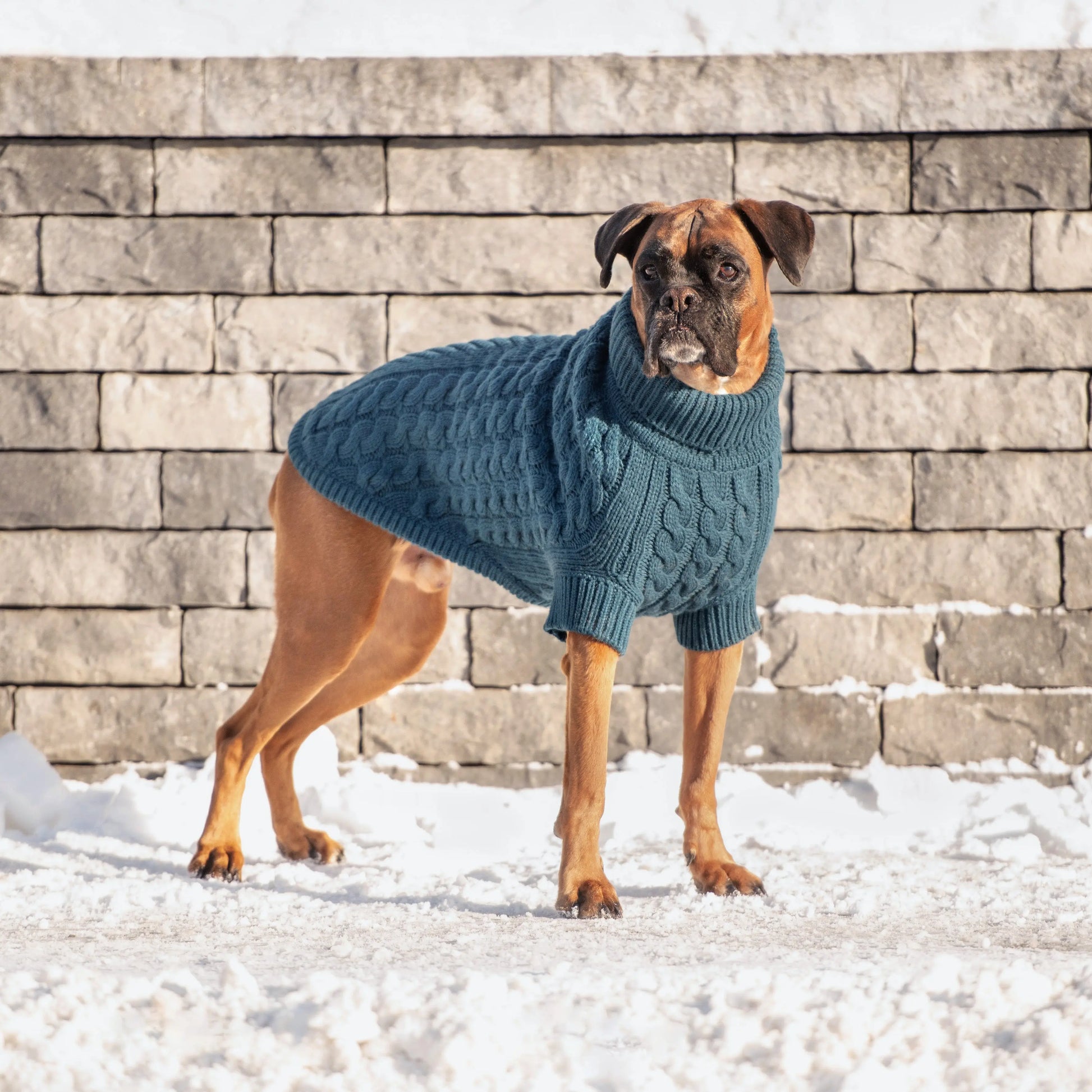 Chalet Sweater - Dark Teal GF Pet