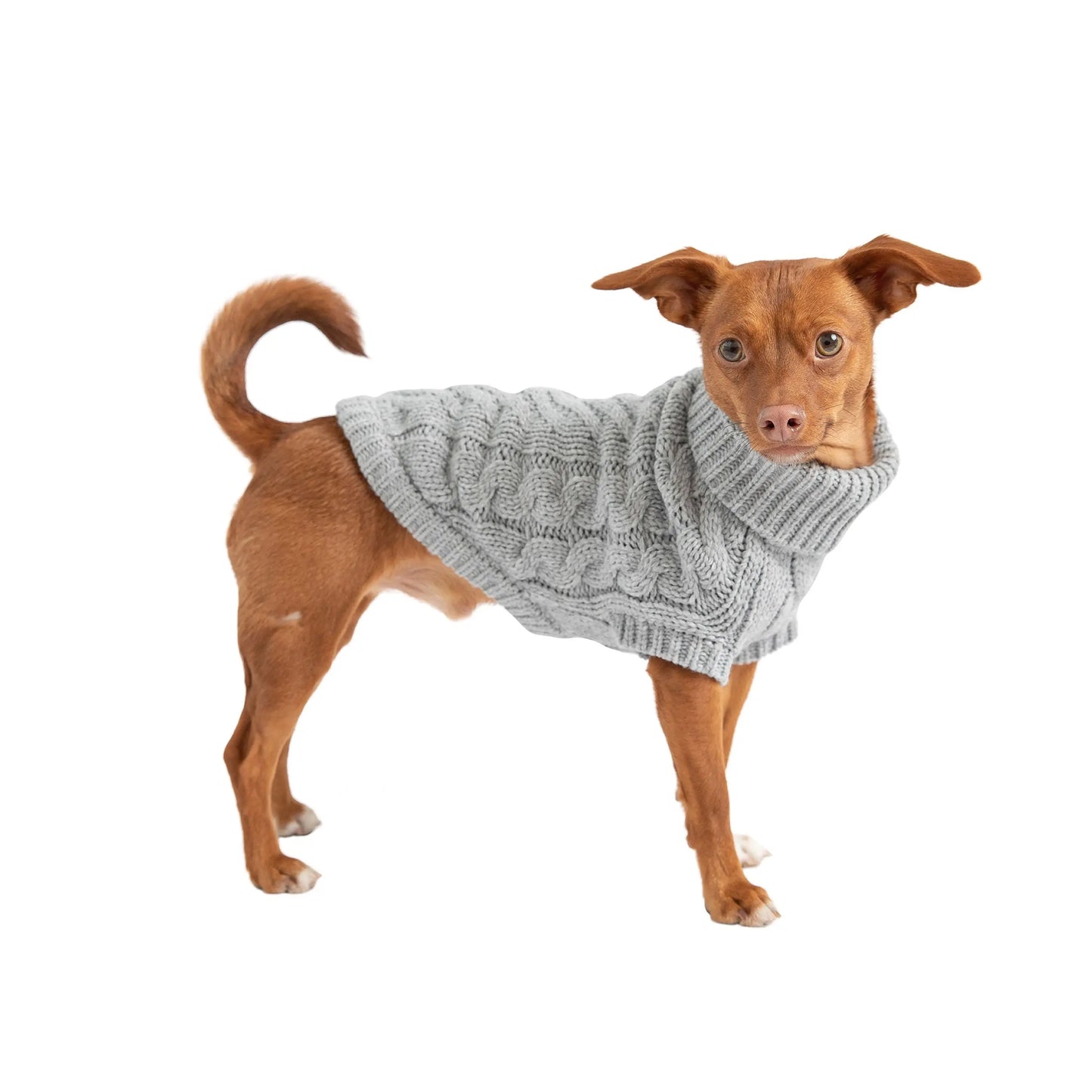 Pull chien - Gris GF Pet