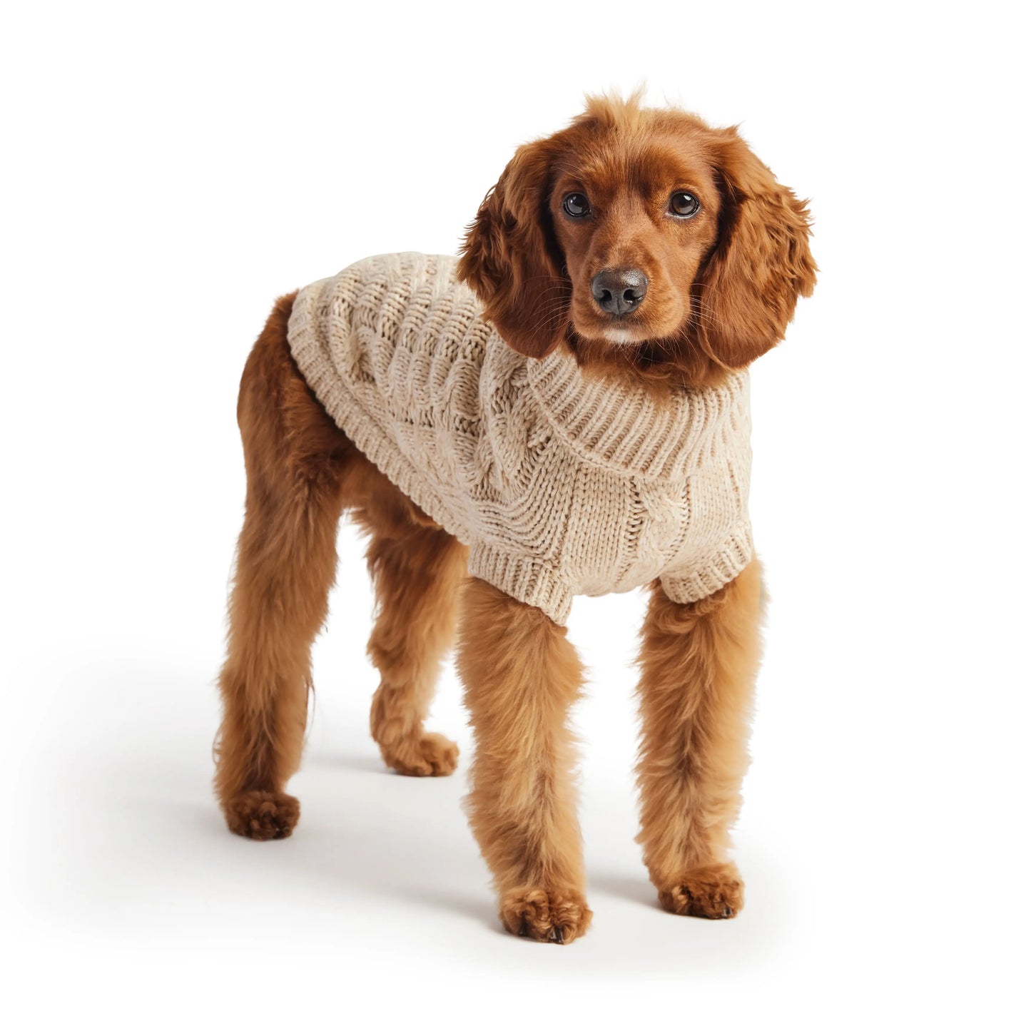 Pull Chalet - Avoine GF Pet