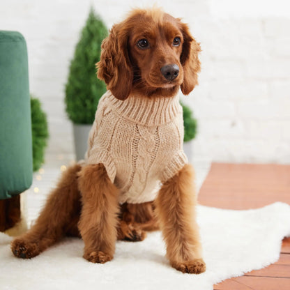 Pull Chalet - Avoine GF Pet