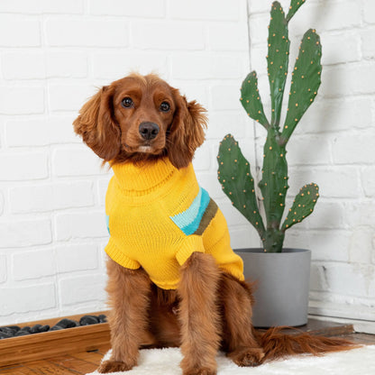 Alpine Sweater - Yellow GF Pet