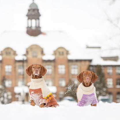 Fireside Sweater - Chili GF Pet