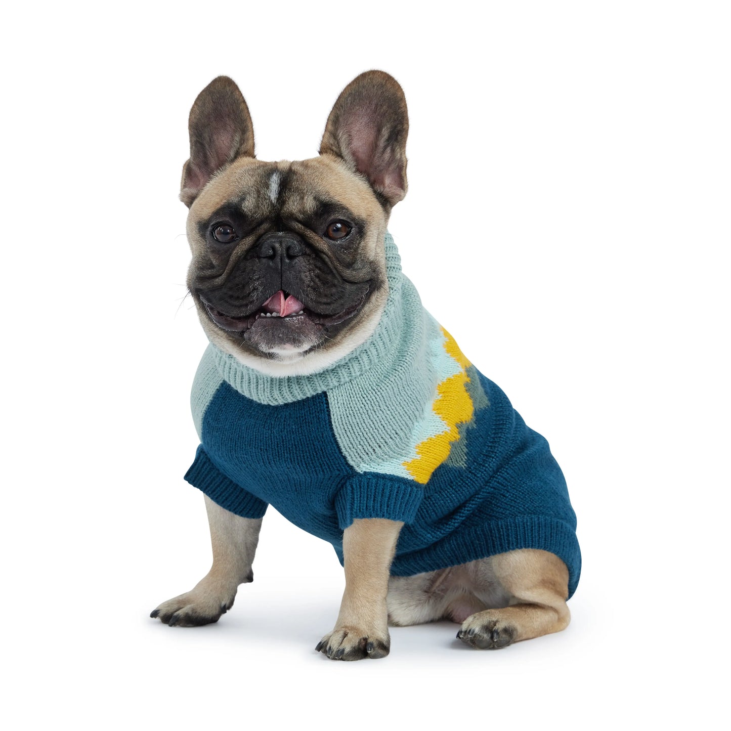 Fireside Sweater - Teal GF Pet