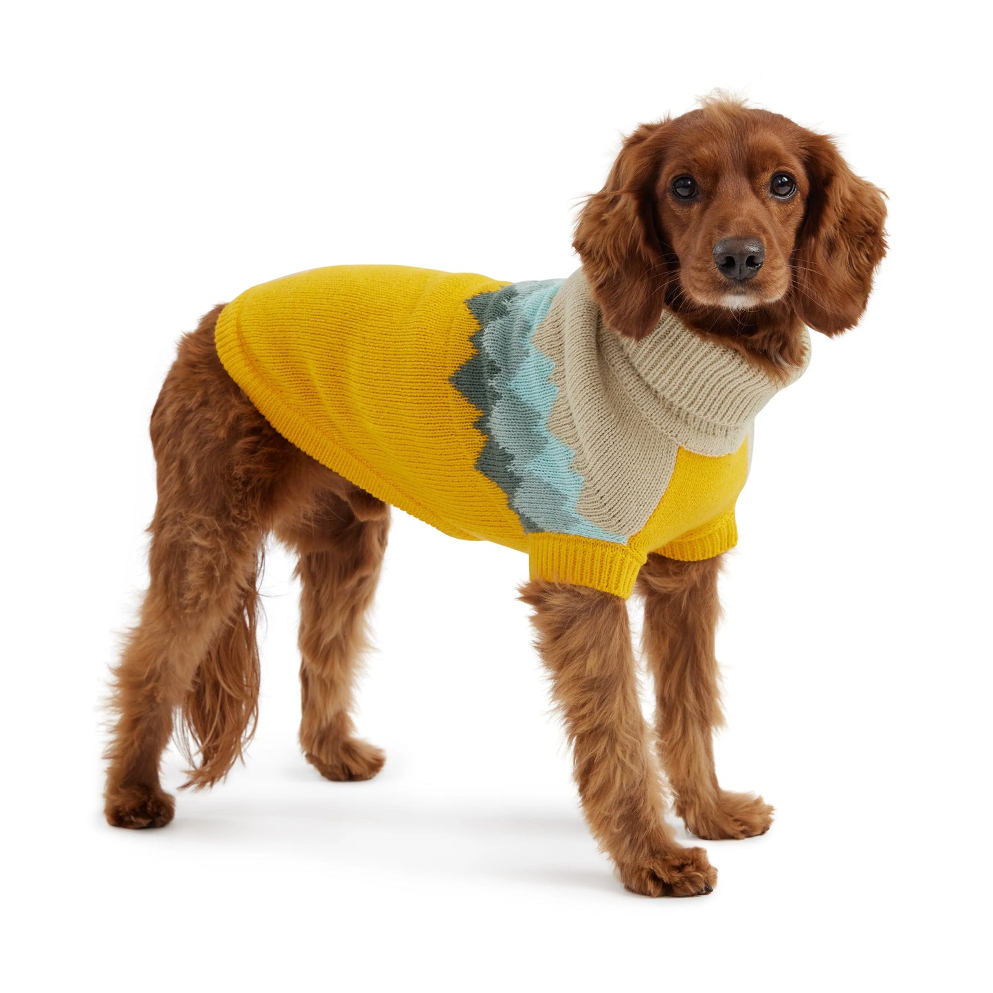 Pull en tricot - Jaune GF Pet