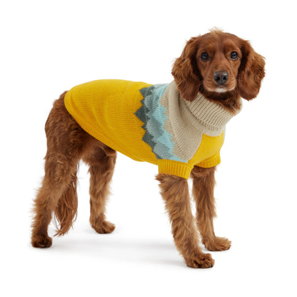 Pull en tricot - Jaune GF Pet
