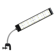 DaToo Aquarium Light Small LED Clip Light for Fish Tank 10W 1 Yr Warranty Zooko