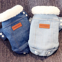 Luxury Winter Dog Jacket Puppy Dog Clothes Pet Outfits Dog Denim Coat Jeans Costume Chihuahua Poodle Bichon Pet Clothing 35S1 Zooko