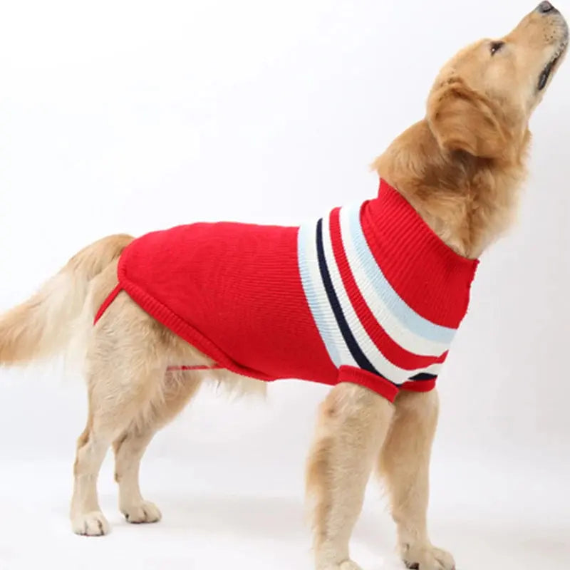 Pull rayé pour gros chien Zooko
