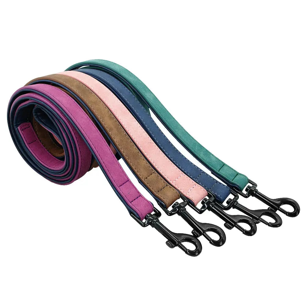 Ensemble collier et laisse en cuir pour chien Zooko