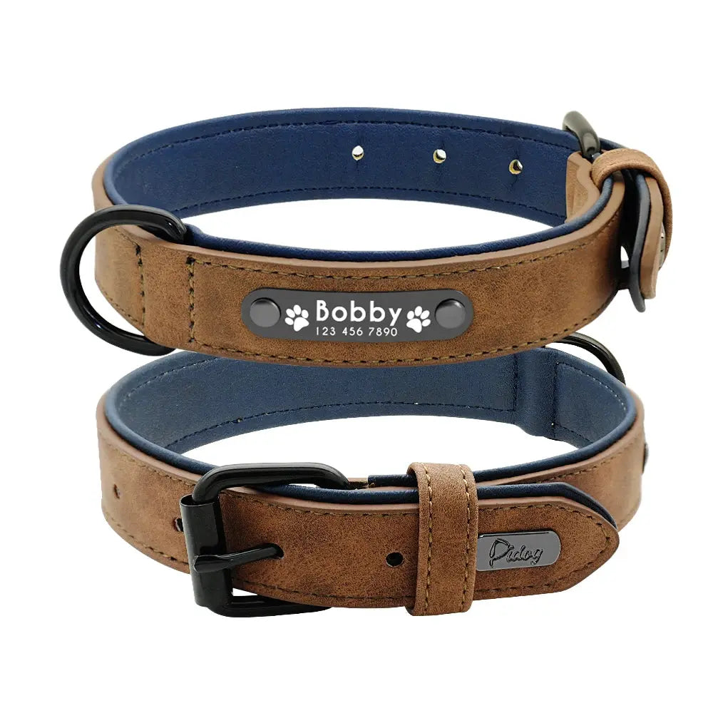 Ensemble collier et laisse en cuir pour chien Zooko