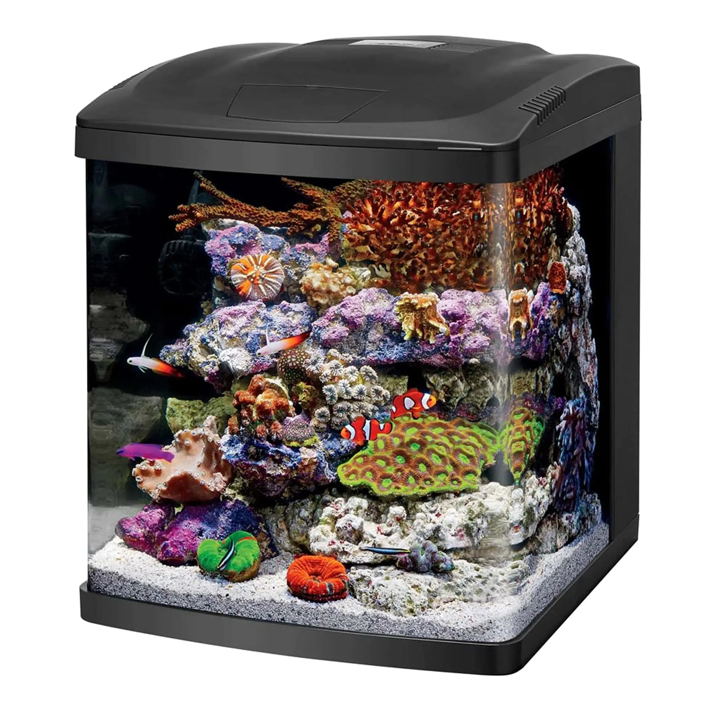 Coralife LED BioCube Aquarium Fish Tank Kit 16 Gallon Zooko