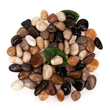 BLQH [18 Pounds] Pebbles Stones Aquarium Gravel River RockNatural Polished Decorative GravelGarden Ornamental Pebbles RocksPolished Gravel for Landscaping (Mixed Colors) Zooko