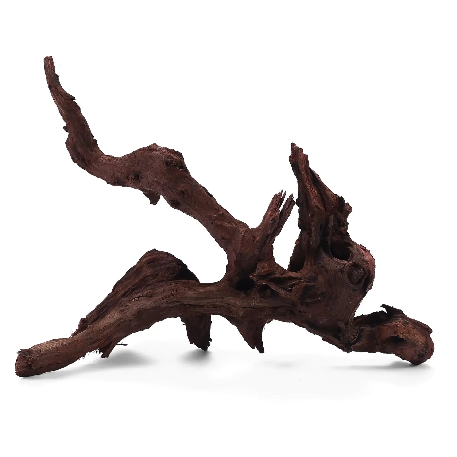 FISCAPE 16-18" Extra Large Natural Driftwood for Aquarium Drift Wood Decor for Fish Tank & Reptiles Tank Decoration 1 Pcs Zooko