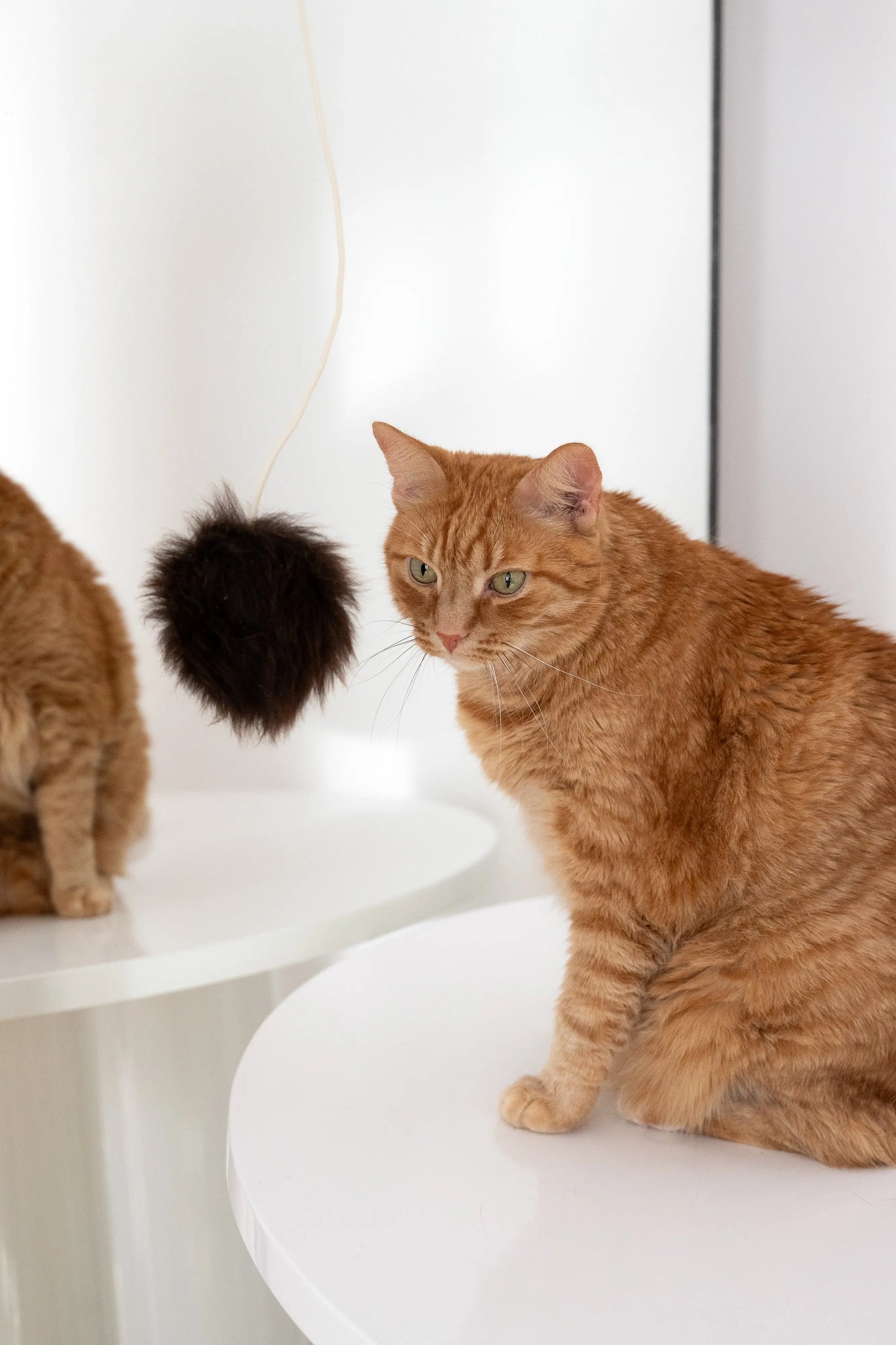 Natural Woolen Cat Toy: Ball-3