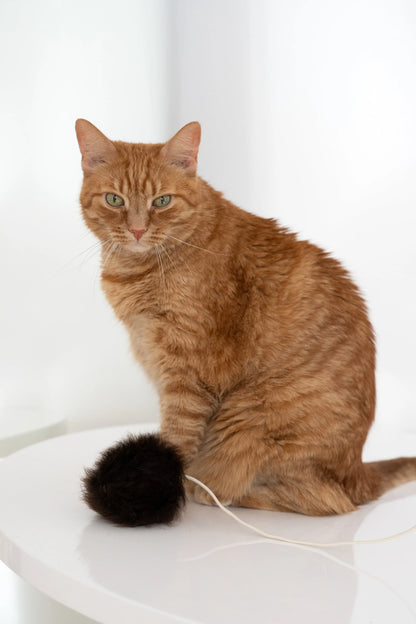 Natural Woolen Cat Toy: Ball-4