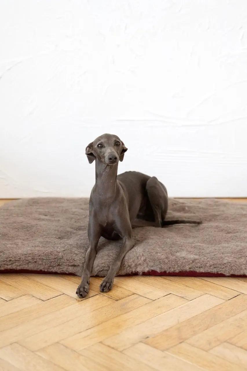 Square or Rectangular Natural Woolen Pet Mat - Beige-2