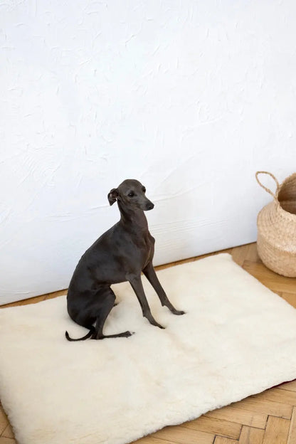 Square or Rectangular Natural Woolen Pet Mat - White-1