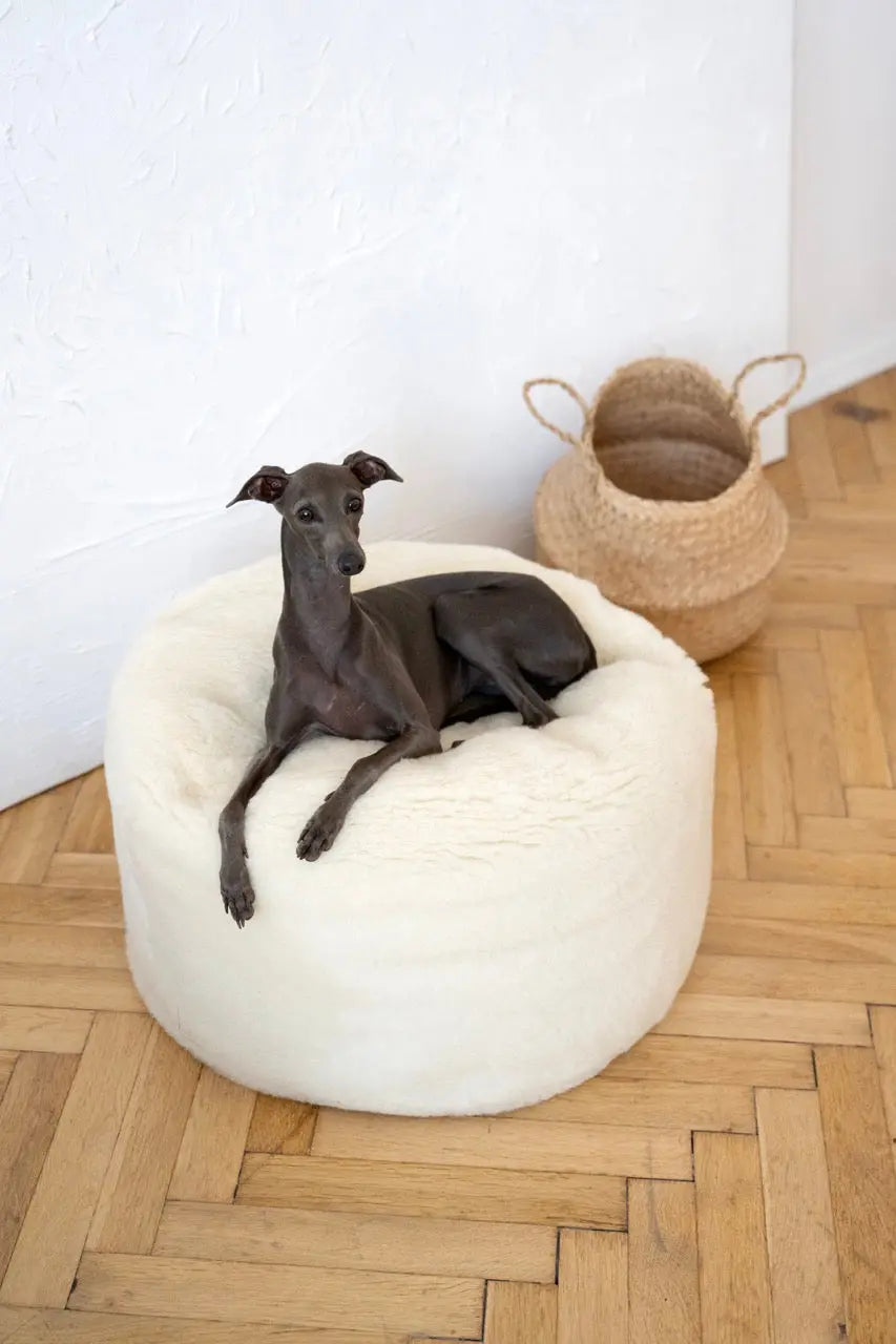 Oval Natural Wool Pet Bed - White-0