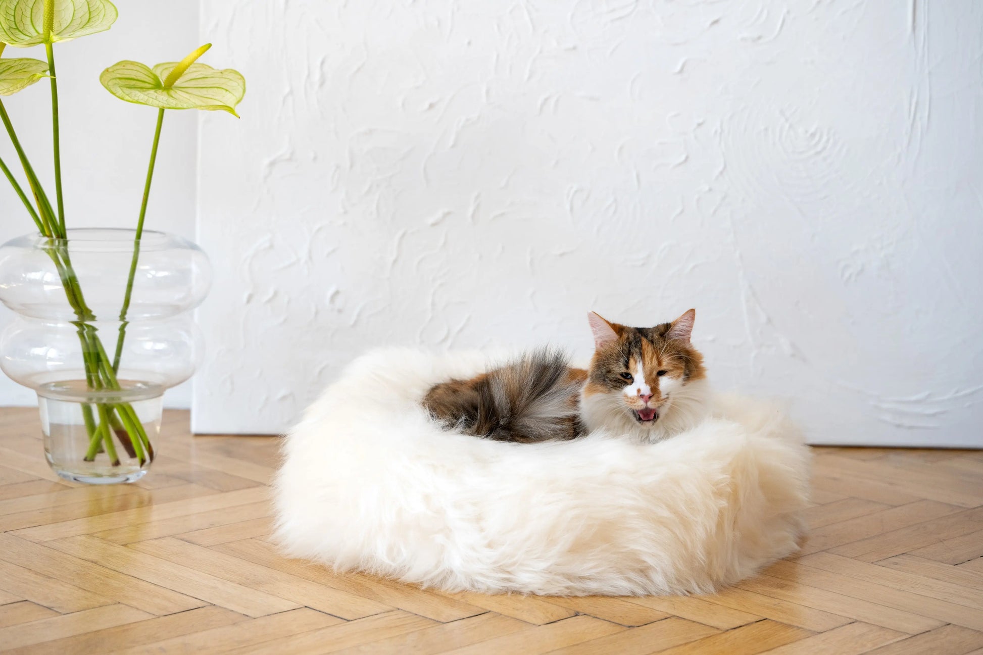 Round Natural Sheepskin Pet Bed - White-0