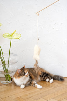 Natural Woolen Cat Toy: Fish-1