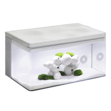 Harmony Premium All-in-One Aquatic Tank by Clairnara - iF Design Award Winning 10 Gallon Aquarium with Premium LED Light Patented Filtration System and Ultra-Quiet Water Pump - White Zooko
