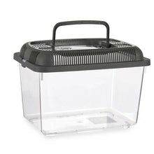 Fish tank With handle Medium Anthracite Plastic 3 L 17 x 16 x 24 cm (12 Units)-1