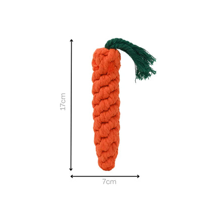 Knotty Large Orange Carrot-3