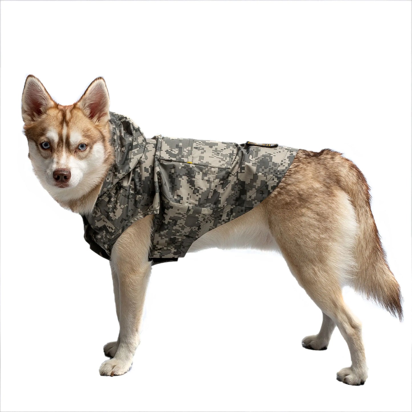 Imperméable pliable pour chien GF Pet