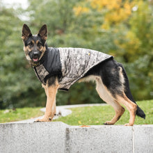 US Army Dog Jacket - Camo GF Pet