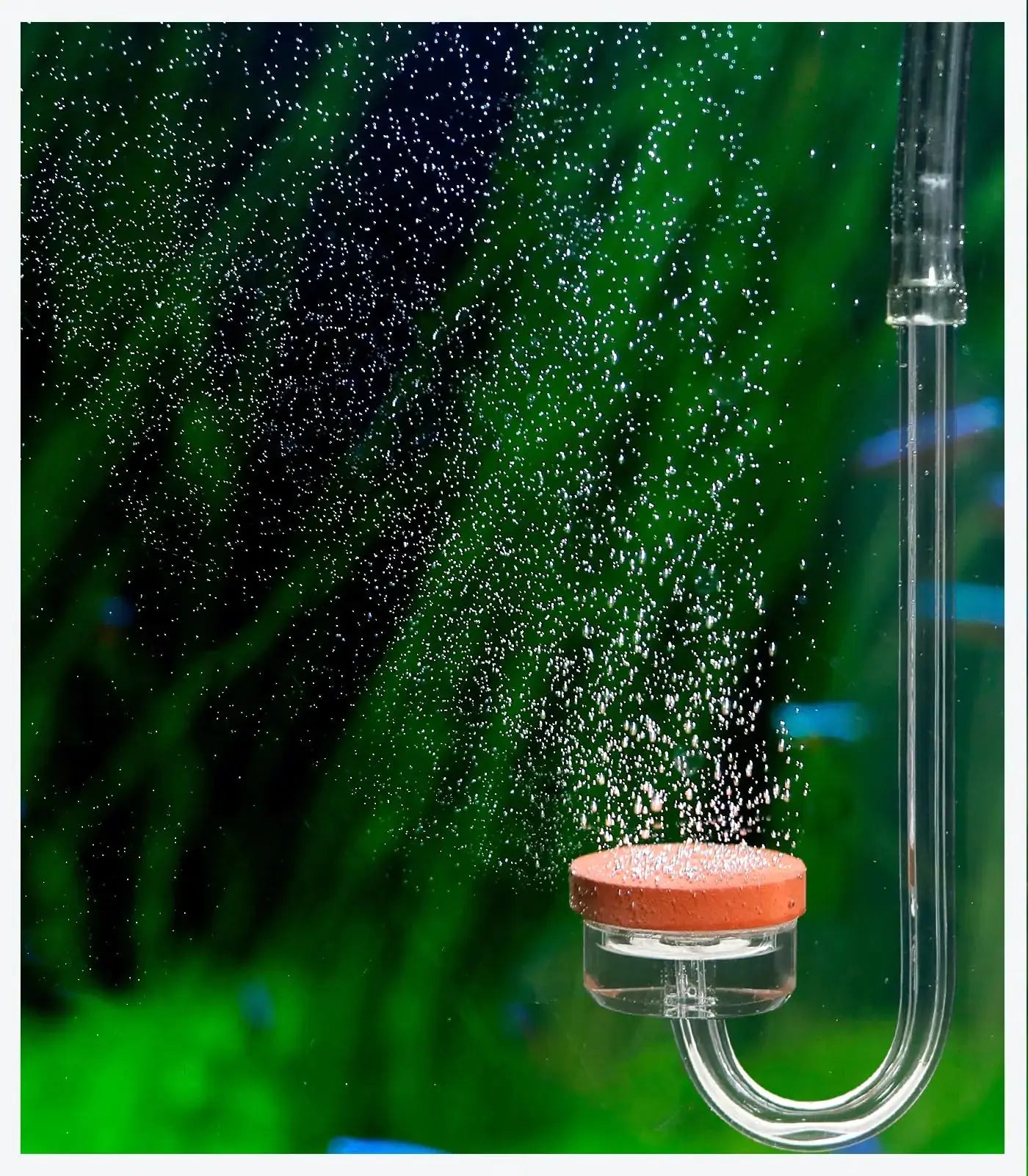 Clscea CO2 Diffuser for Aquarium Plant Mini CO2 Atomizer miniU-M Zooko