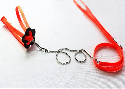 Adjustable Outdoor Lizard Leash - Stylish And Durable Pet Walking Rope-10