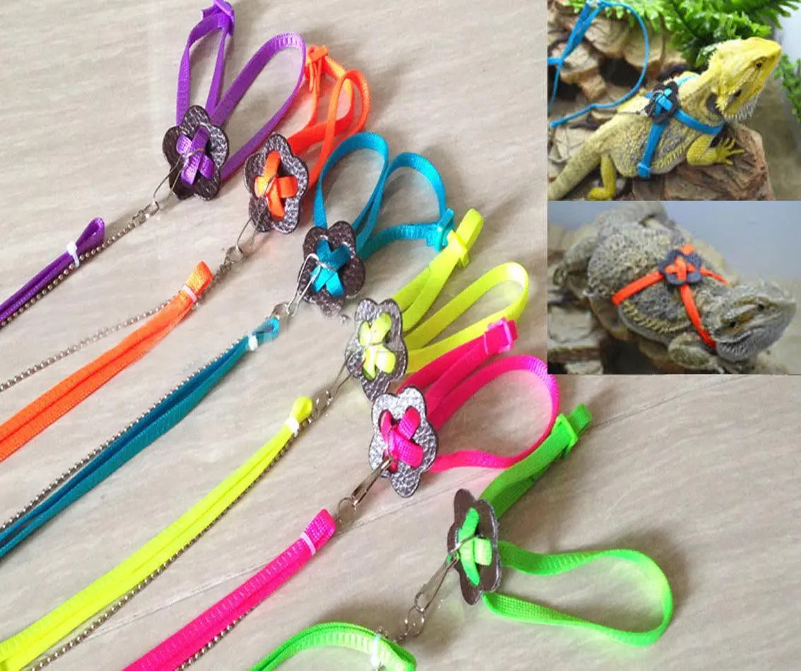 Adjustable Outdoor Lizard Leash - Stylish And Durable Pet Walking Rope-8