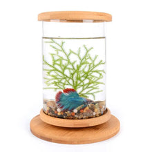Bamboo Base Mini Glass Aquarium: A Stylish And Compact Fish Tank Decoration-1