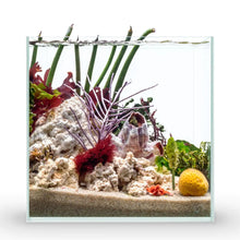 Ultum Nature Systems Ultra Clear Rimless Aquarium - Low Iron Glass Fish Tank with 45° Mitered Edges 5mm-12mm Thick Leveling Mat Included (25C Cube 4 Gallon) Zooko