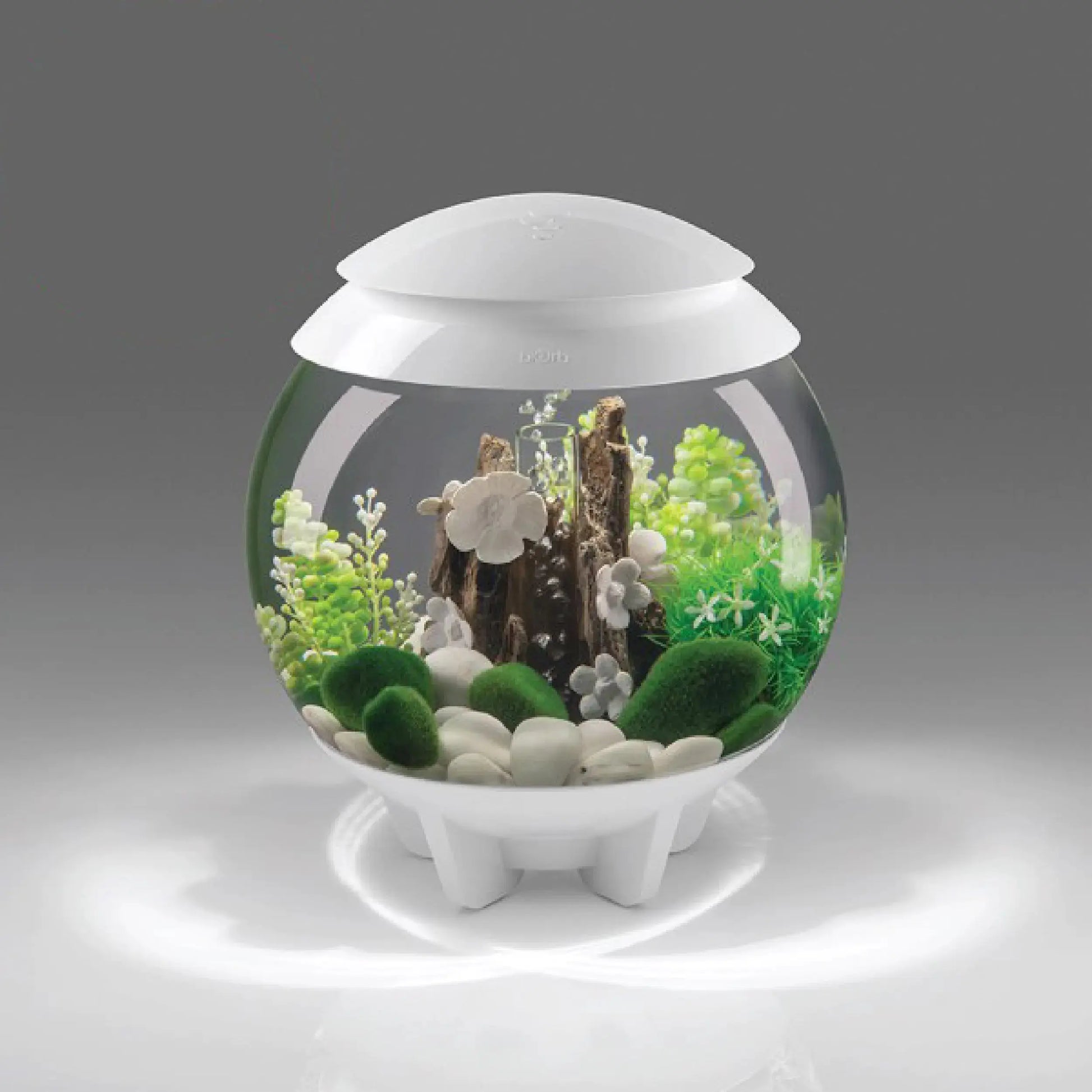 biOrb Halo 30 Aquarium with MCR Lighting - 8 Gallon White Zooko