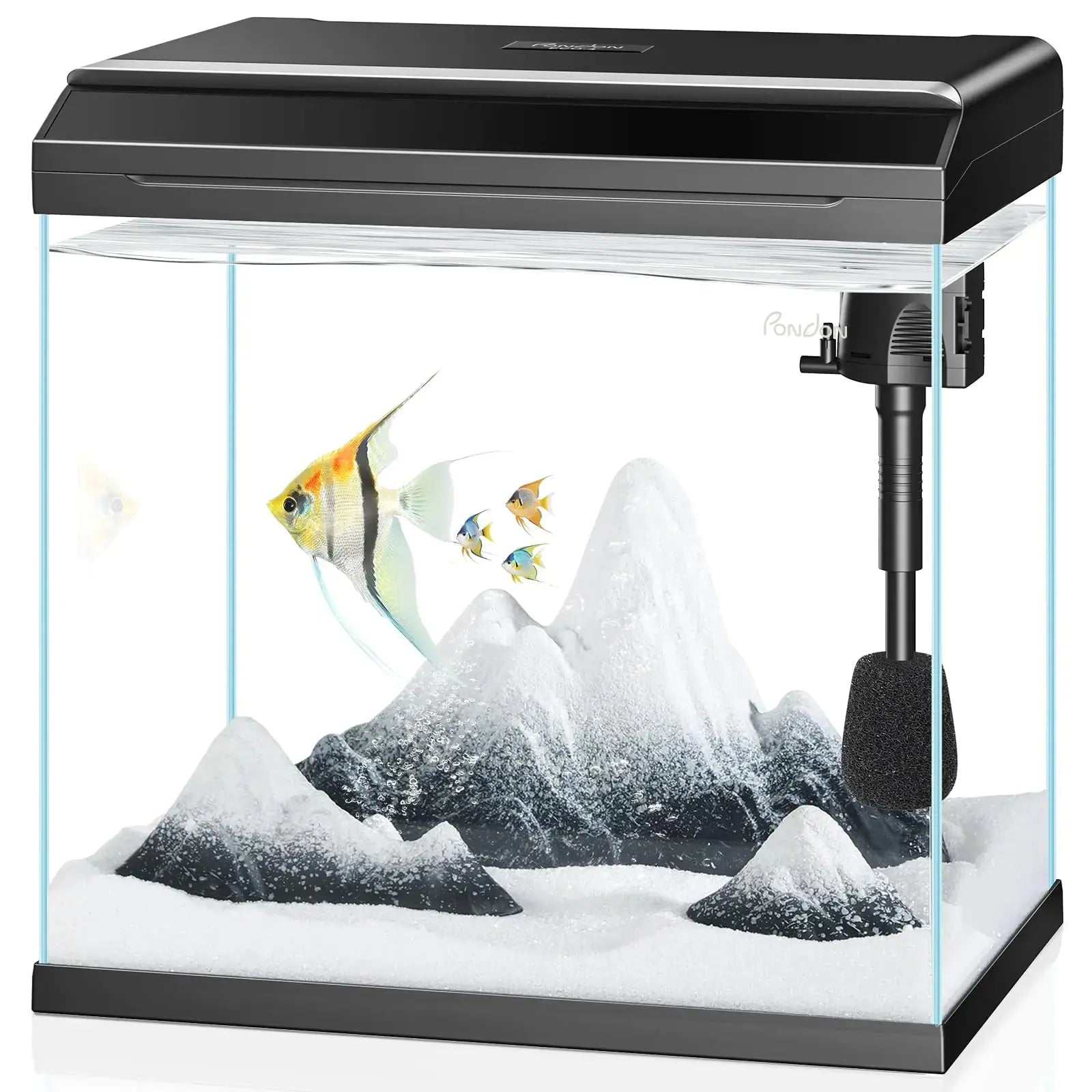 PONDON 7 Gallon Fish Tank with Detachable Lid Low-Iron Glass Aquarium Starter Kit with LED Light Beginner-Friendly Betta Aquarium with Removable Filtration Zooko