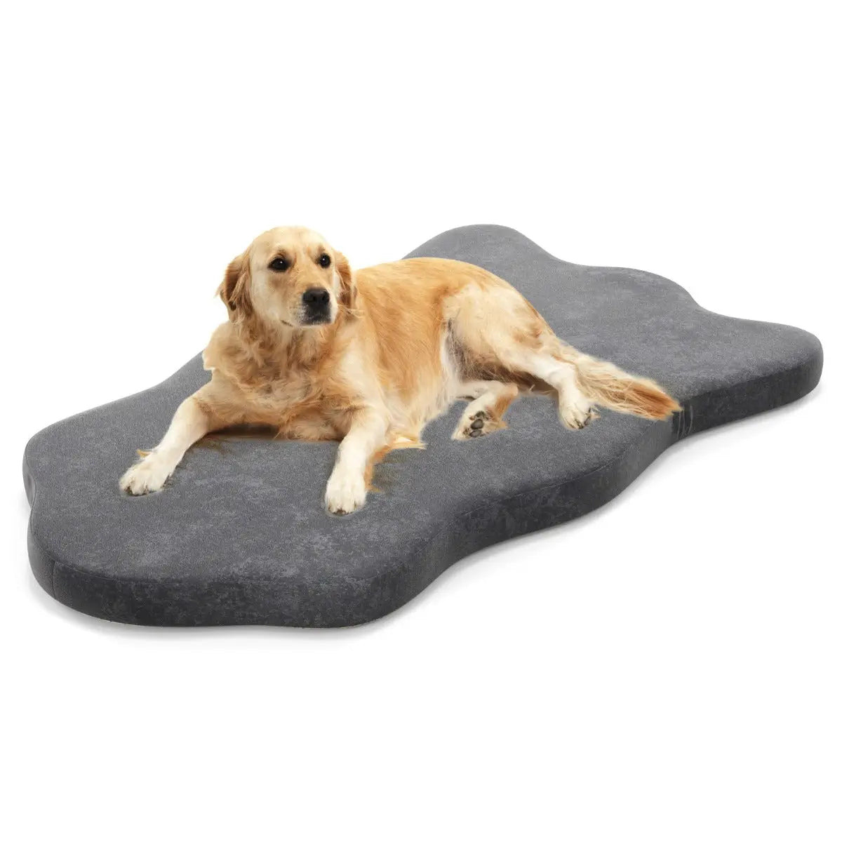 NNECW Orthopedic Dog Bed with Memory Foam Support for Pet-Grey-1