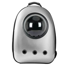 Plecak do noszenia zwierząt, srebrny-1