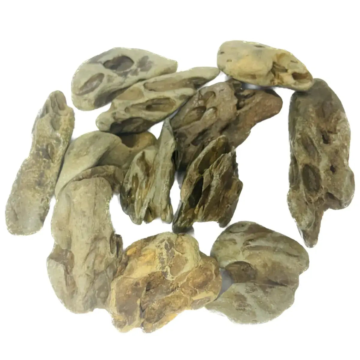 ZYYRT Natural Stone Aquarium Rock 2.2lb Dragon Stone Aquarium Aquascaping Rocks Mixed Sizes for Micro Landscape Fish Tank Decor Zooko