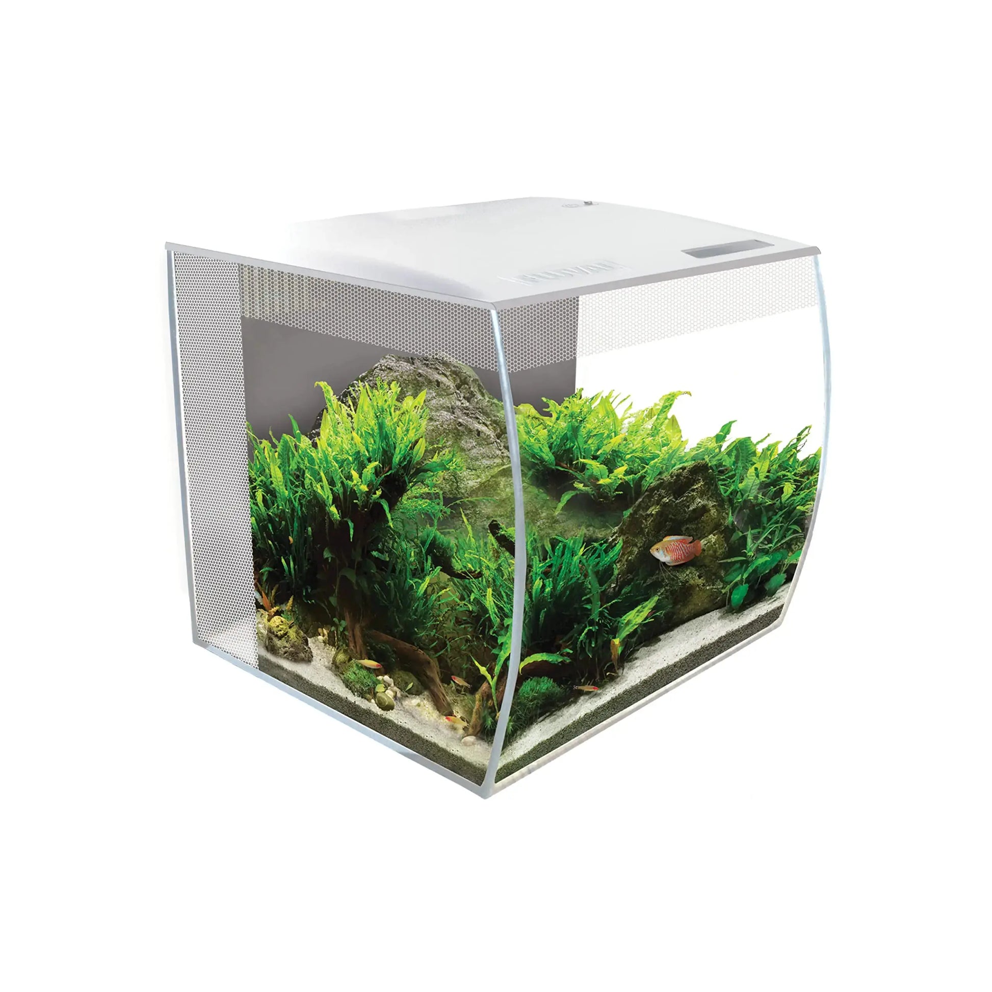 Fluval Flex 9 Aquarium Kit - Fish Tank for Fish & Plants - Comes with LED Lights Filtration System & More - 36" x 18" x 18" - 34 L 9 Gal. - White Zooko