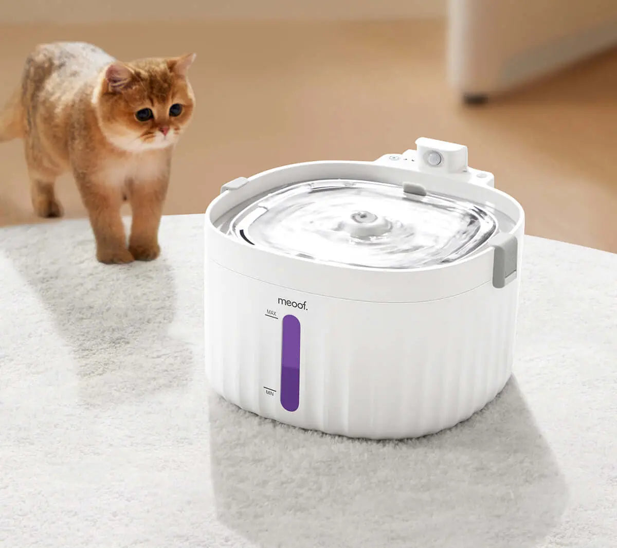 Smart Pet Water Fountain-1