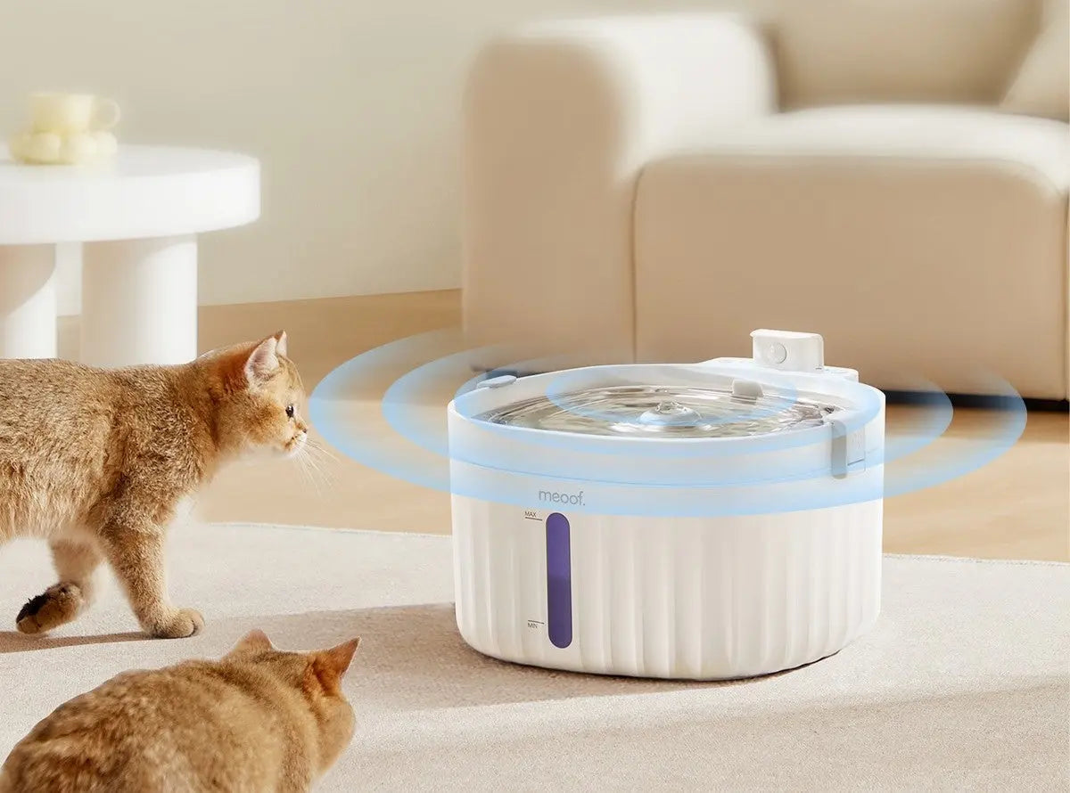 Smart Pet Water Fountain-3